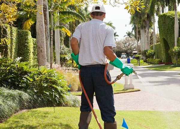 About Viola KS Pest Control Pros